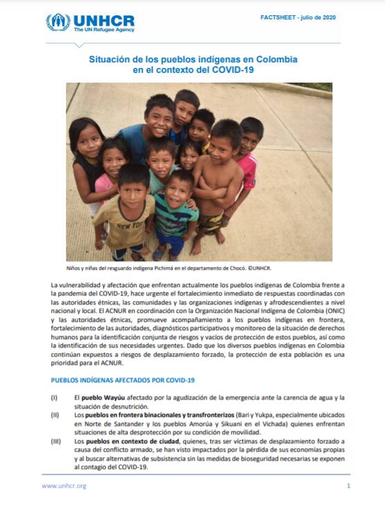 Factsheet sobre Pueblos Indígenas en Colombia en el contexto COVID-19